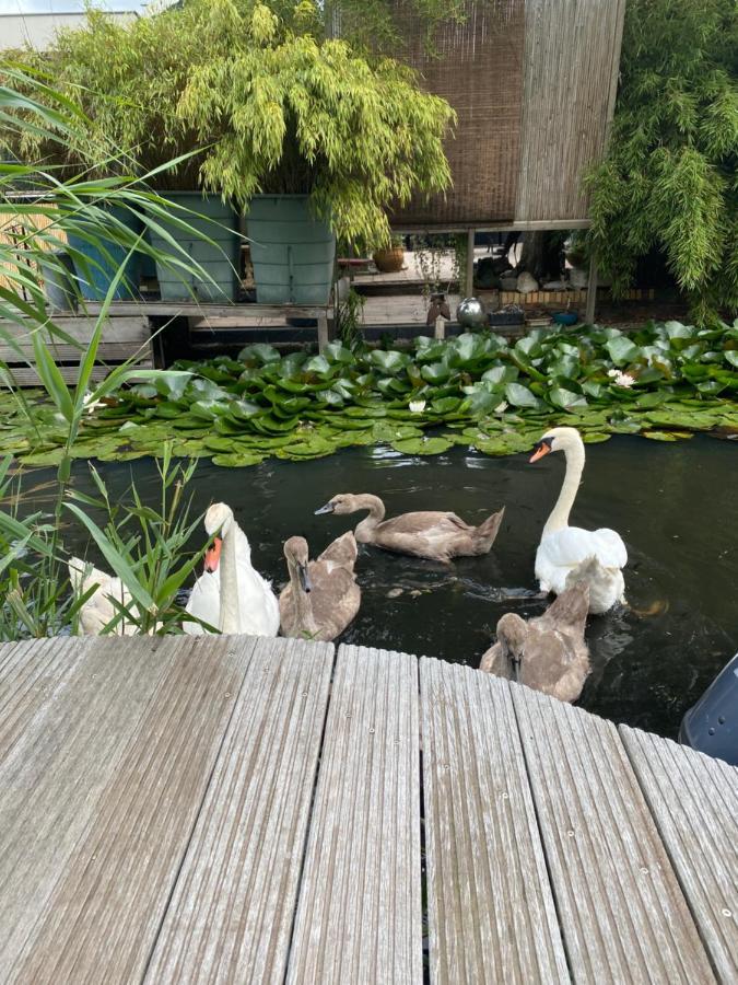Casa Di Maksch De Miniatura Bed & Breakfast Amsterdam Dış mekan fotoğraf